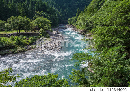夏の清流《岐阜県板取川》 116844003