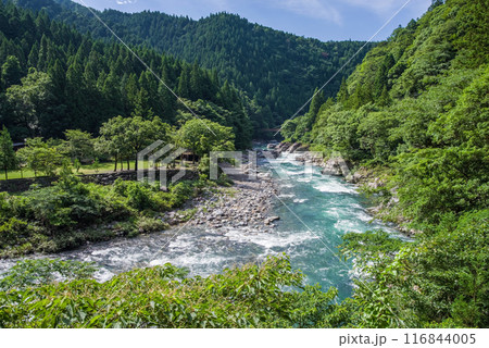 夏の清流《岐阜県板取川》 夏の清流《岐阜県板取川》 116844005