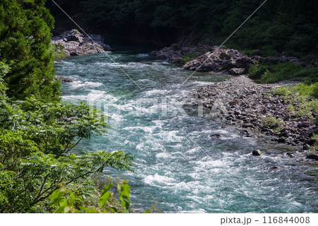 夏の清流《岐阜県板取川》 116844008