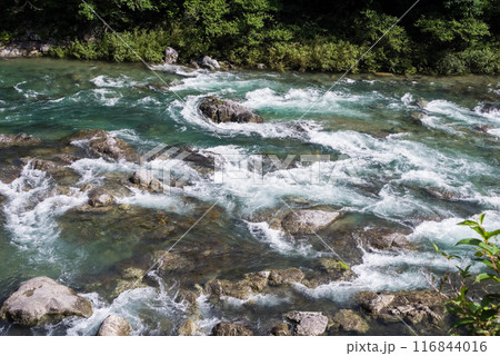 夏の清流《岐阜県板取川》 夏の清流《岐阜県板取川》 116844016