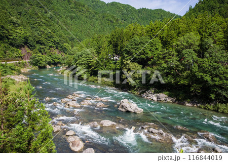 夏の清流《岐阜県板取川》 116844019