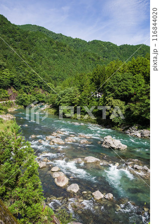 夏の清流《岐阜県板取川》 116844020