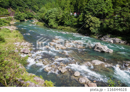 夏の清流《岐阜県板取川》 116844028
