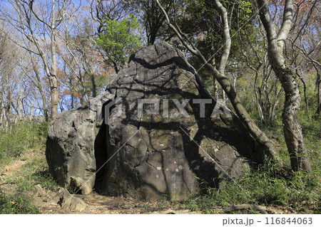 茨城県の秋の宝篋山（ほうきょうさん）の登山道の風景 116844063