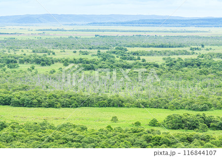 夏の北海道　人気の観光地　世界自然遺産に登録されている釧路湿原国立公園 116844107