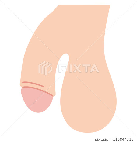 男性生殖器 医療 男性生殖器 医療 116844316