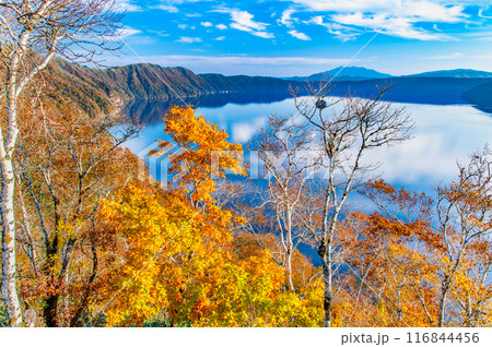 北海道 紅葉の摩周湖 ~摩周ブルーの湖面と紅葉の彩り~ 北海道 紅葉の摩周湖 ~摩周ブルーの湖面と紅葉の彩り~ 116844456