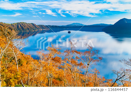 北海道 紅葉の摩周湖　～摩周ブルーの湖面と紅葉の彩り～ 116844457