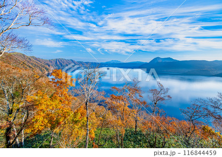 北海道 紅葉の摩周湖　～摩周ブルーの湖面と紅葉の彩り～ 116844459