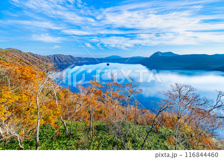 北海道 紅葉の摩周湖　～摩周ブルーの湖面と紅葉の彩り～ 116844460