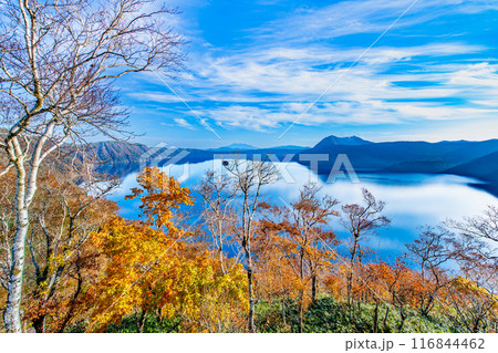 北海道 紅葉の摩周湖　～摩周ブルーの湖面と紅葉の彩り～ 116844462