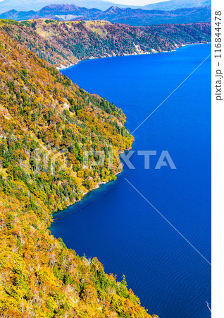 北海道 紅葉の摩周湖　～摩周ブルーの湖面と紅葉の彩り～ 116844478