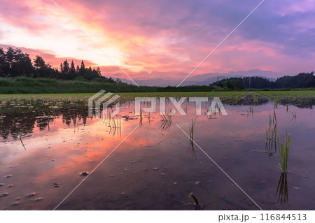 240615上野平z020 116844513