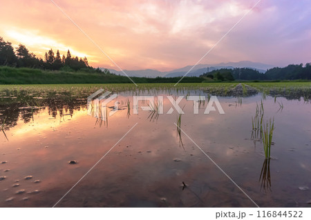 240615上野平z063 240615上野平z063 116844522