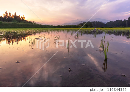 240615上野平z090 116844533