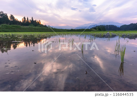 240615上野平z097 116844535