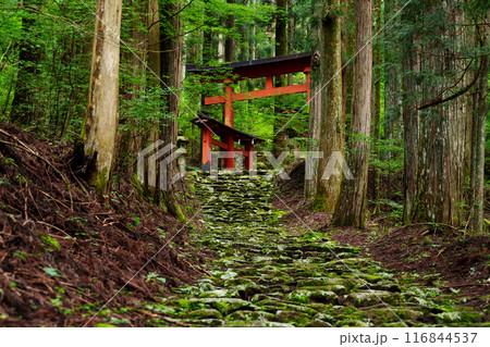 山梨県 氷室神社の長い石段 山梨県 氷室神社の長い石段 116844537