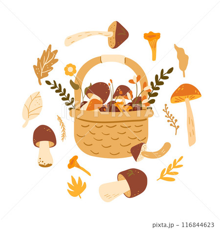 Basket of mushrooms circular emblem isolated on white background. Vector hand drawn illustration 116844623