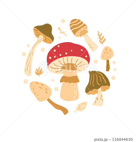 Fly agaric and toadstool round composition isolated on white background. inedible mushrooms badge Fly agaric and toadstool round composition isolated on white background. inedible mushrooms badge 116844630