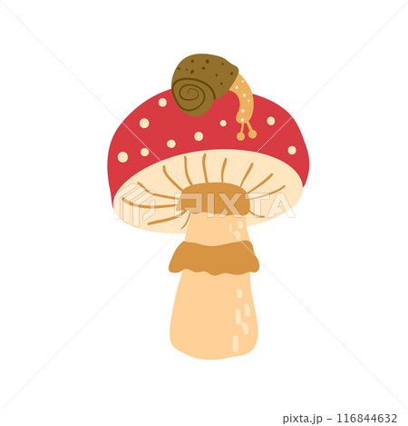 Fly agaric with snail on a cap isolated on white background. Vector hand drawn illustration 116844632
