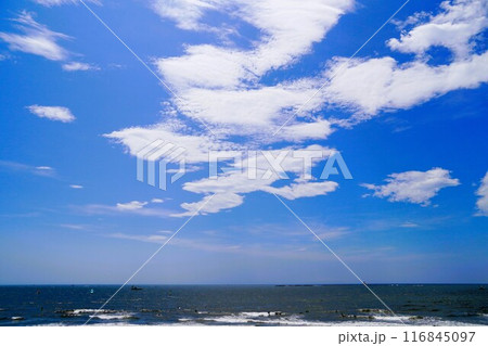 青空の茅ヶ崎海岸 夏の風景 青空の茅ヶ崎海岸 夏の風景 116845097