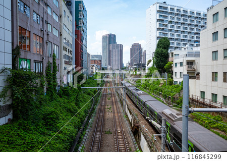東京の鉄道風景 目黒駅から恵比寿駅へ続く山手線と埼京線 a-1 東京の鉄道風景 目黒駅から恵比寿駅へ続く山手線と埼京線 a-1 116845299