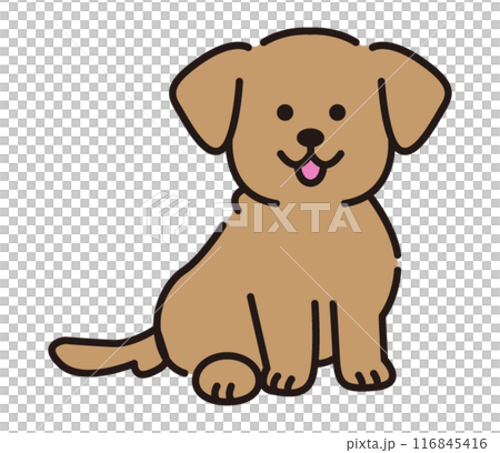 金毛獵犬 116845416