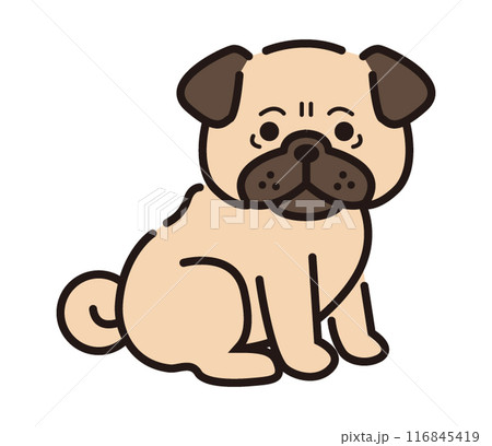 パグ 116845419