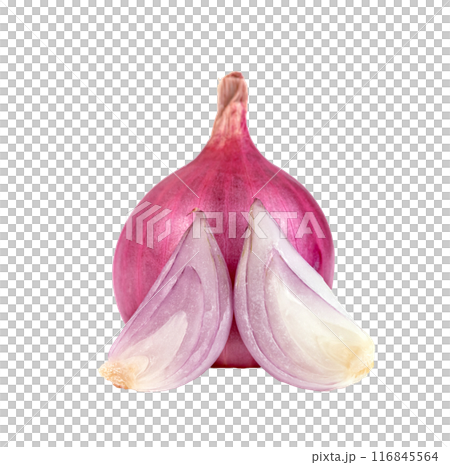 shallots onion chopped isolated shallots onion chopped isolated 116845564