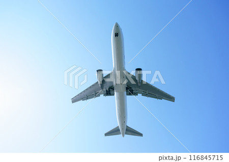 飛行機　青空 116845715