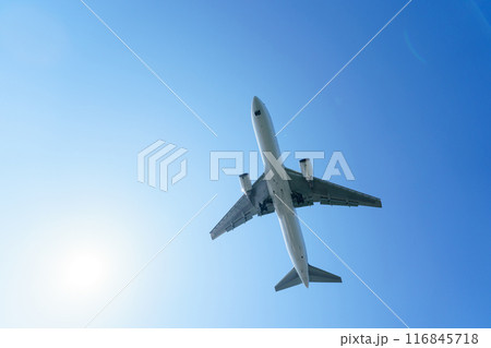 飛行機　青空 116845718
