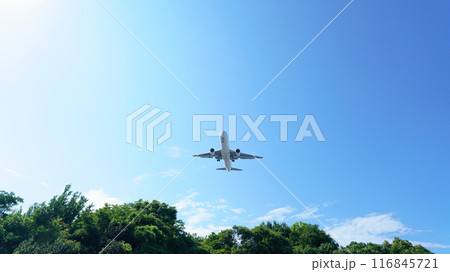 飛行機 青空 飛行機 青空 116845721