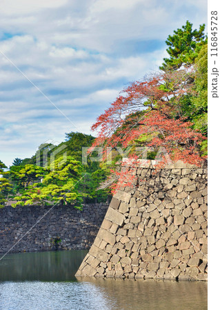 皇居のお濠と美しい紅葉（東京都千代田区） 116845728