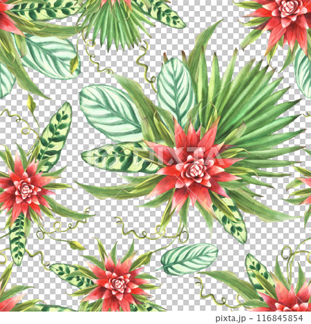 Tropical leaves with red flowers, palm leaf, curly foliage seamless pattern. Watercolor exotic plant Bromeliad bud floral Hawaiian fabric design Watercolor painted illustration on isolated background  116845854