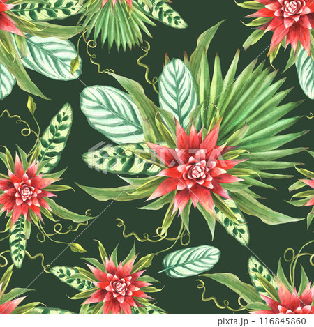 Tropical leaves with red flowers, palm leaf, curly foliage seamless pattern. Watercolor exotic plant and buds Floral Hawaiian fabric. Watercolor painted illustration on isolated dark green background  116845860