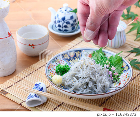 新鮮な生しらす 116845872