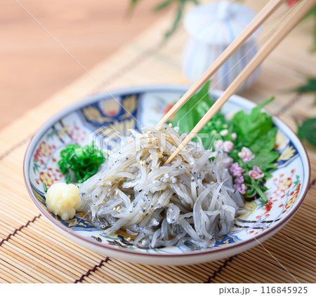 新鮮な生しらす 116845925