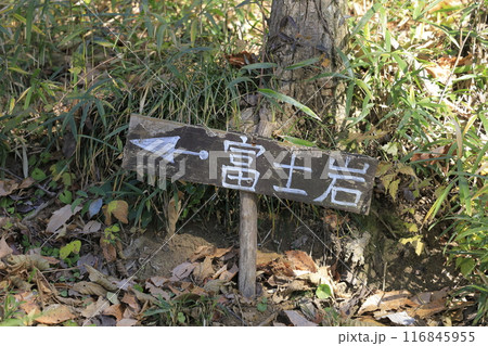 茨城県の秋の宝篋山(ほうきょうさん)の登山道にある道標 茨城県の秋の宝篋山(ほうきょうさん)の登山道にある道標 116845955