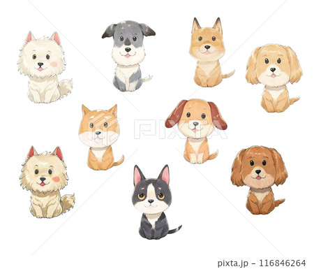 いろいろな犬のイラストセット いろいろな犬のイラストセット 116846264