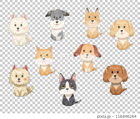 いろいろな犬のイラストセット いろいろな犬のイラストセット 116846264