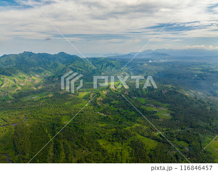 Topical landscape with rainforest. Blue sky and clouds. Mindanao, Philippines. 116846457
