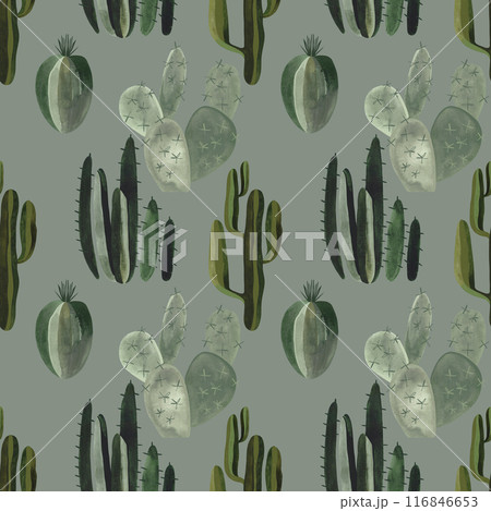 Cacti. Seamless watercolor pattern for wrapping paper, wallpaper and textiles. 116846653