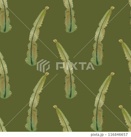 Cacti. Seamless watercolor pattern for wrapping paper, wallpaper and textiles. 116846657