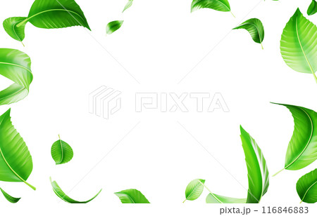 3d background with green leaf falling and flying in air render. Nature eco banner frame with fresh foliage. Decorative sale border of mint or tea leaves with white empty space mockup. 3D illustration 116846883