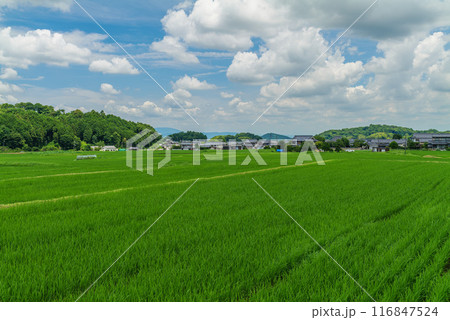 高市郡明日香村 大字岡から大字飛鳥の集落と甘樫丘、耳成山、飛鳥寺、天香具山 2024年7月17日 116847524