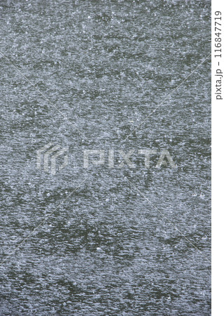 雨が降る池の水面の様子 鳥取県 樗谿公園 116847719
