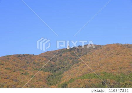快晴の下、色鮮やかに紅葉した茨城県の秋の宝篋山（ほうきょうさん） 116847832