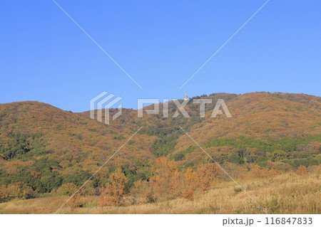 快晴の下、色鮮やかに紅葉した茨城県の秋の宝篋山（ほうきょうさん） 116847833