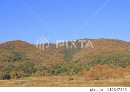 快晴の下、色鮮やかに紅葉した茨城県の秋の宝篋山(ほうきょうさん) 快晴の下、色鮮やかに紅葉した茨城県の秋の宝篋山(ほうきょうさん) 116847836