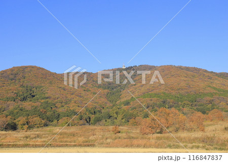 快晴の下、色鮮やかに紅葉した茨城県の秋の宝篋山(ほうきょうさん) 快晴の下、色鮮やかに紅葉した茨城県の秋の宝篋山(ほうきょうさん) 116847837